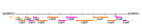 YqbB context.gif