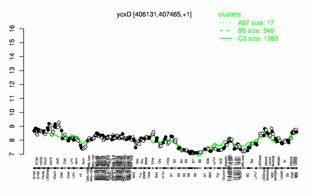 YcxD expression.png