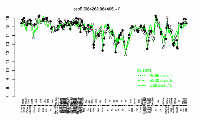 CspB expression.png