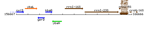 RrnI-16S context.gif