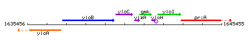 YloC context.gif