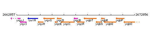 YqcB context.gif