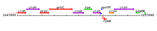 YloQ context.gif