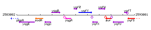 YqfZ context.gif