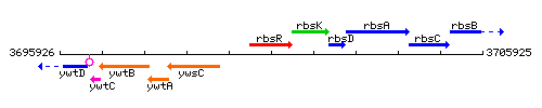 RbsR context.gif