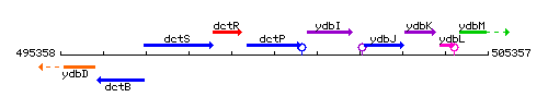 DctP context.gif