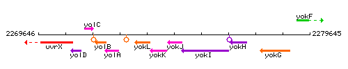 YokJ context.gif