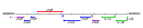 YtcQ context.gif