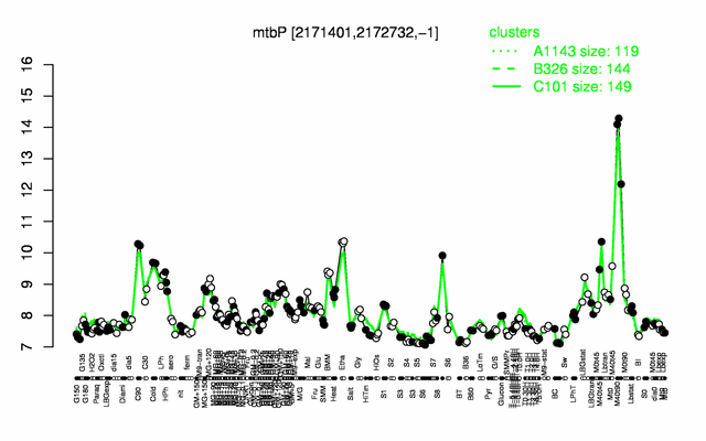 MtbP expression.png