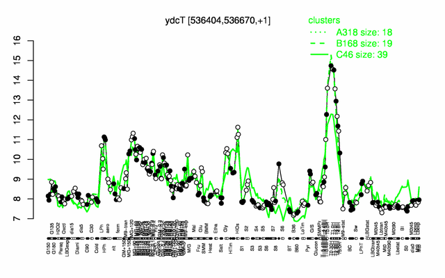 YdcT expression.png