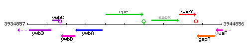 Epr context.gif