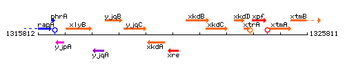 Xre context.gif