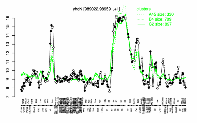 YhcN expression.png