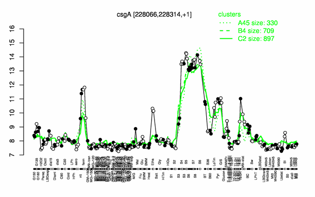 CsgA expression.png