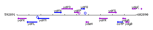 YdfP context.gif