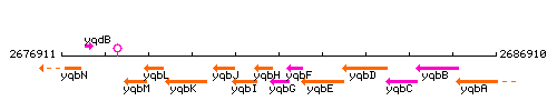 YqbG context.gif