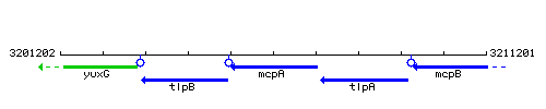 McpA context.gif