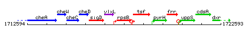 RpsB context.gif