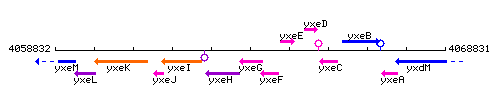 YxeG context.gif