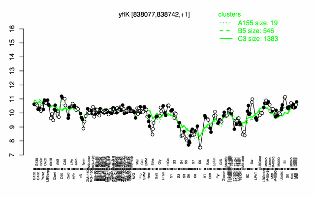 YflK expression.png