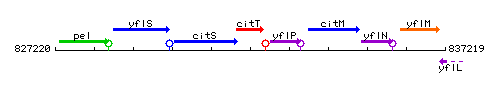 CitT context.gif