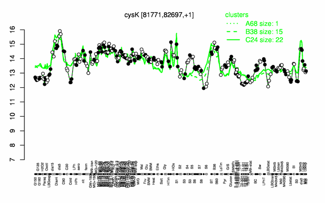 CysK expression.png