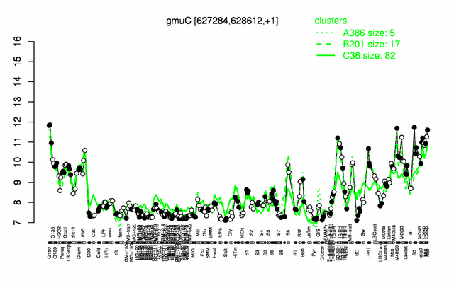 GmuC expression.png