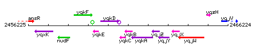 YqkB context.gif