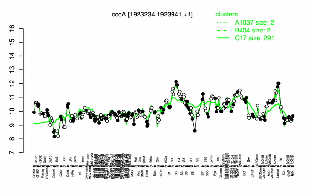 CcdA expression.png