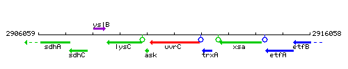 UvrC context.gif