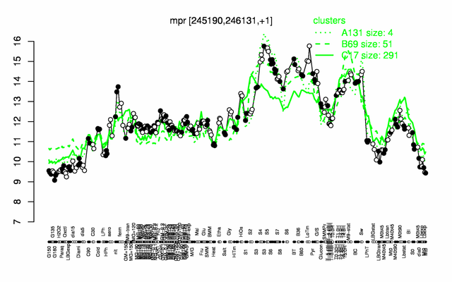 Mpr expression.png