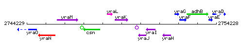 YraK context.gif