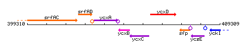 YcxB context.gif