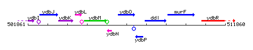 YdbO context.gif