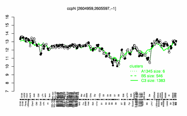 CcpN expression.png