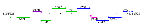 YtcB context.gif