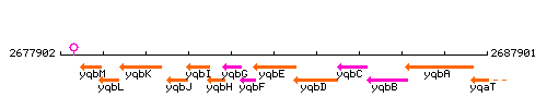 YqbE context.gif