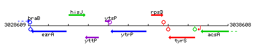 YtrP context.gif