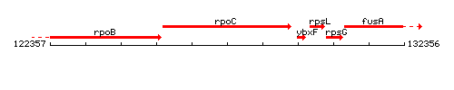 RpoC context.gif