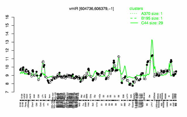 VmlR expression.png