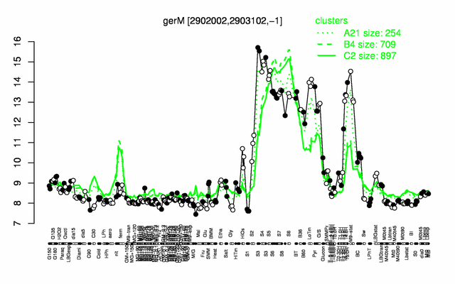 GerM expression.png