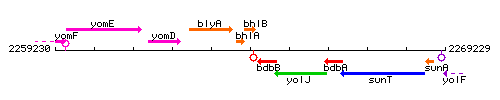 BhlB context.gif