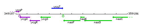 NasF context.gif