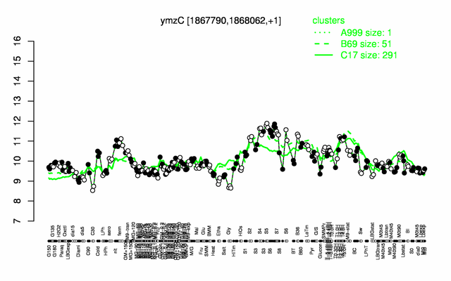 YmzC expression.png