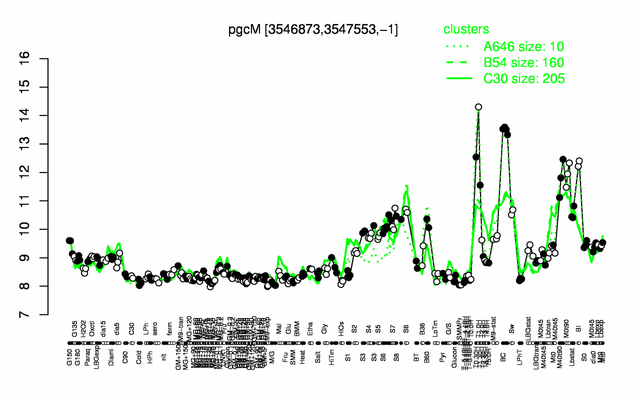 PgcM expression.png