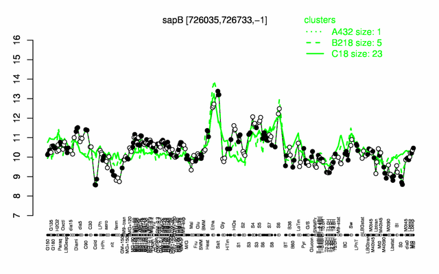 SapB expression.png