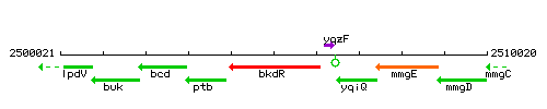 BkdR context.gif