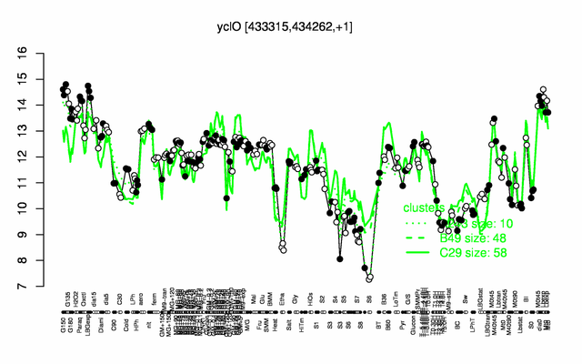 YclO expression.png