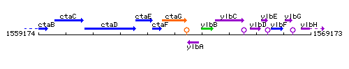 CtaG context.gif