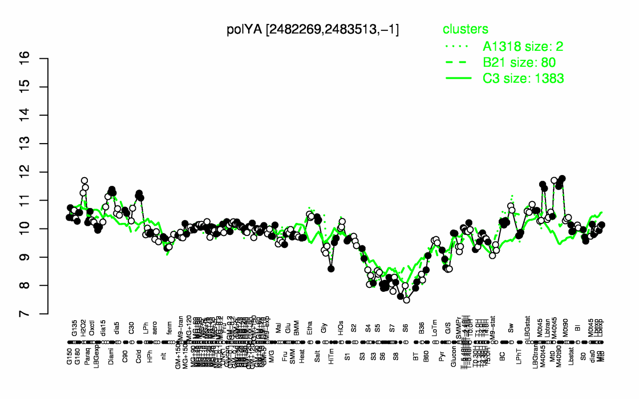 PolY1 expression.png